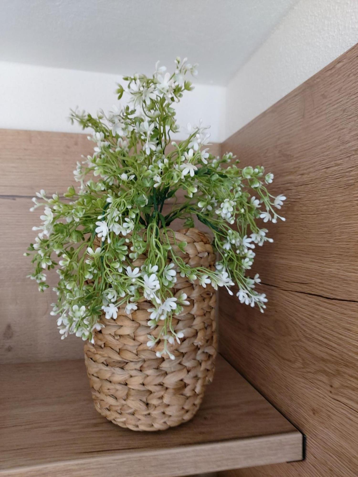 Albi Haus Winterberg Apartman Kültér fotó